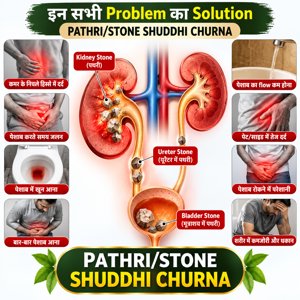 Pathri Stone Shuddhi Kidney & Urinary Wellness 2